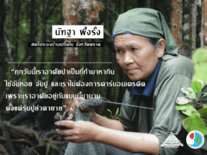 นัฑฐา ผึ้งรั้ง : ทุกวันนี้เราอาศัยป่าเป็นที่ทำมาหากินใช้จับหอย จับปู และเราไม่ต้องการคาร์บอนเครดิต