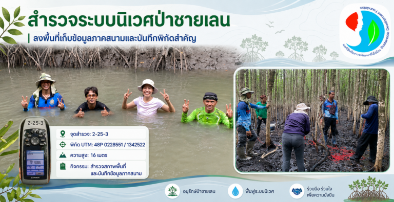 ทีมนักวิจัยจากกลุ่มอนุรักษ์ป่าชายเลนบ้านเปร็ดใน ลงจับพิกัดแปลงทดลองฟื้นฟูความหลากหลายชีวภาพ